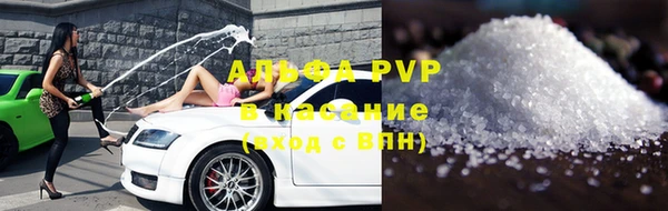 индика Беломорск