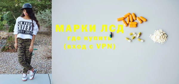 индика Нея