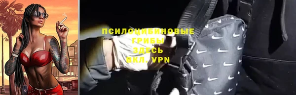 индика Нея