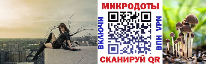blacksprut зеркало  Копейск  Галлюциногенные грибы прущие грибы 