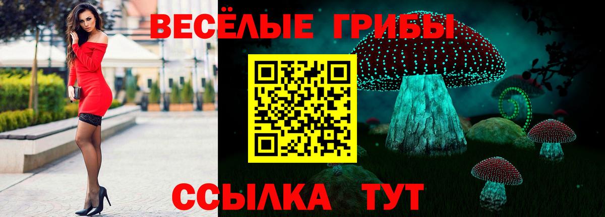 Галлюциногенные грибы Cubensis Копейск